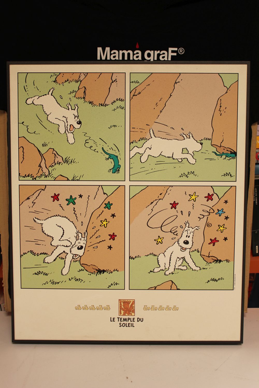 Cuadro Milu viñetas 50X70